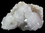 Cactus Quartz (Amethyst) Crystals - South Africa #47180-1